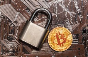 Crypto Wallets 101: Hot vs Cold Storage Explained Simply