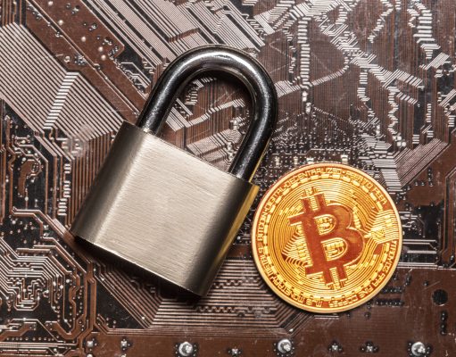 Crypto Wallets 101: Hot vs Cold Storage Explained Simply